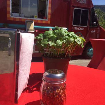 Wood Fired Pizza Truck, Turn-Key Operation, Mobile Pizzeria